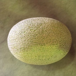 ROCKMELON