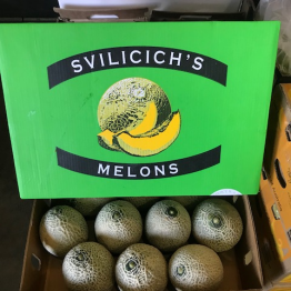 ROCKMELON SVIL