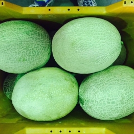 ROCKMELON1