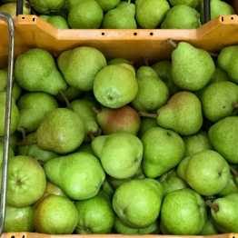 1-2-19 BARTLETT CLOSE UP