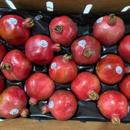 1-9-20-pomegranates