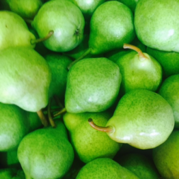 BARTLETT PEARS