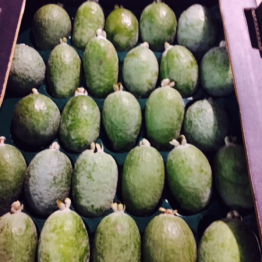 FEIJOAS