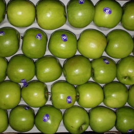 GRANNY-SMITH-APPLE