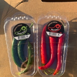 21-5-20-pp-green-and-red-chillies