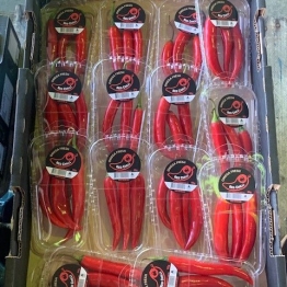 21-5-20-red-chillies