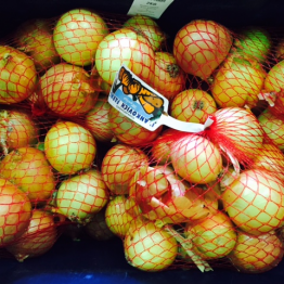 2KG BROWN ONIONS