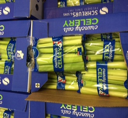 300G PRE-PACK CELERY