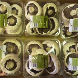 375G-FIELD-MUSHROOMS
