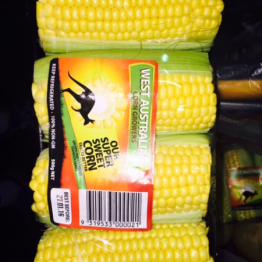 500G CORN