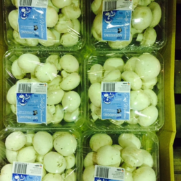 500G CUP MUSHROOMS