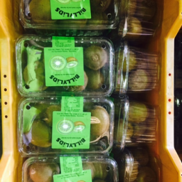 PRE-PACK KIWI FRUIT1