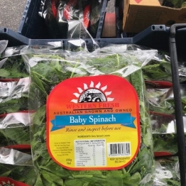 SPINACH BAGS NEW2
