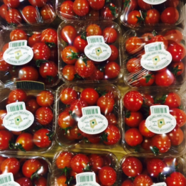 TOMATOESCHERRYSOFTTOPS