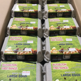 eggs busselton