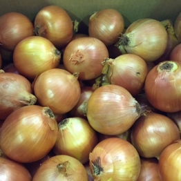 BROWN-ONIONS