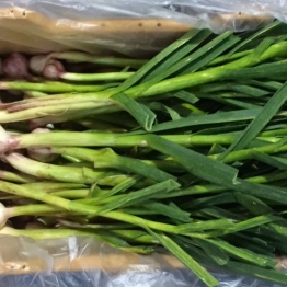LOCAL-GARLIC