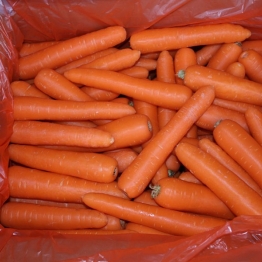 N1-CARROTS