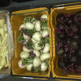 WINTERVEGIES