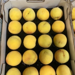 1-2-19 TATURA PEACHES