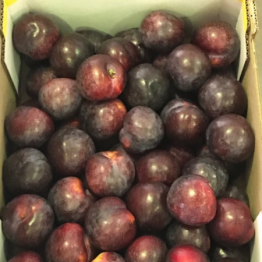 23-3-18 PLUMS