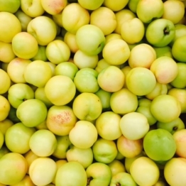 ITALIAN WHITE NECTARINES