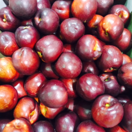 NECTARINELOCAL