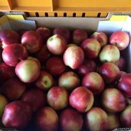 NECTARINES