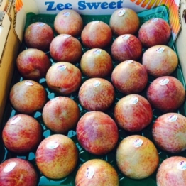 PLUOT