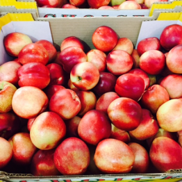 WHITE FLESH NECTARINE1
