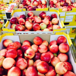 WHITE FLESH NECTARINE2