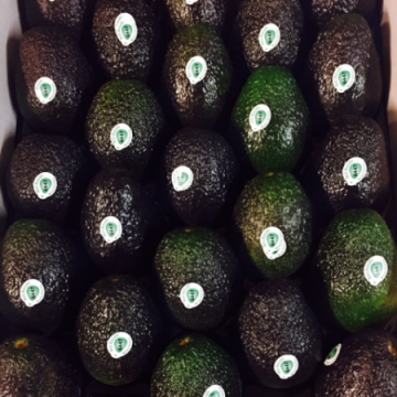 Tropical Fruits
