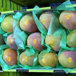 7-1-19 MANGOES