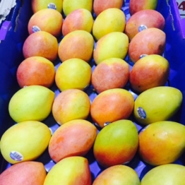CALYPSO-MANGOES