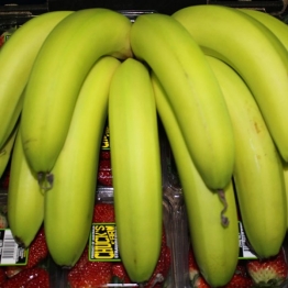 CROWLEY-BANANAS
