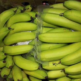 CROWLEY-BANANAS1