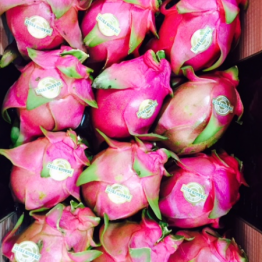 DRAGON FRUIT