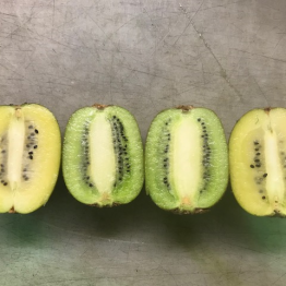 KIWI FRUIT TALIAN CUT