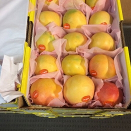MANGOES