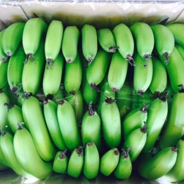 PREMIUM LARGE BANANAS